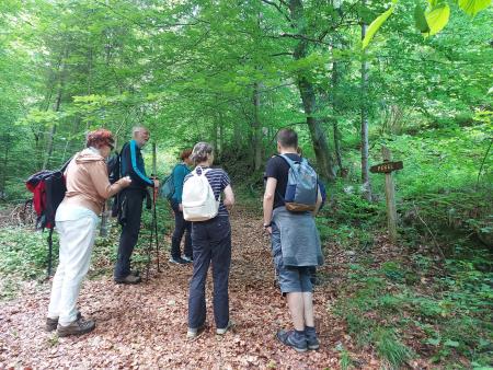 Kulturno popotovanje po Vorančevi poti (27)